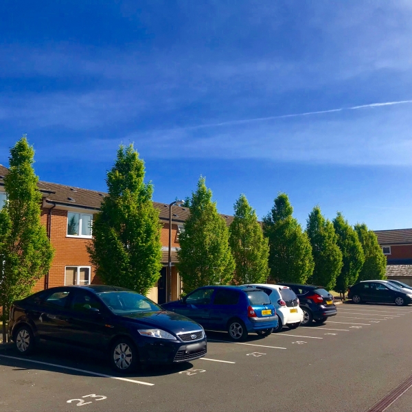 One- Bedroom and Two-Bedroom Apartments.